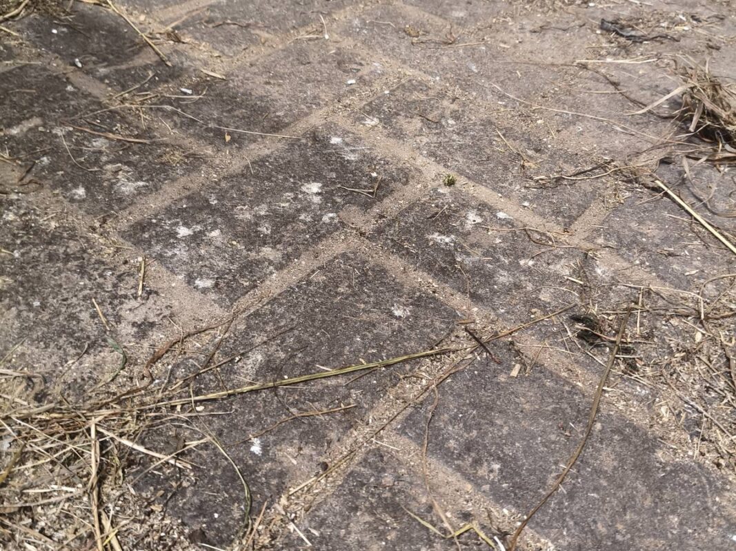 Betonowa kostka brukowa: rodzaj podłoża, na którym stajnia na Litwie ułożyła gumowe maty w boksach